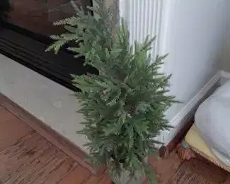 Mini Christmas Tree