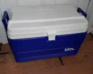Igloo Cooler W/ 2 Handles