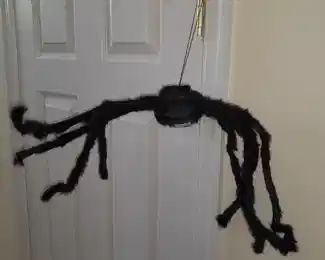 Hanging Spider