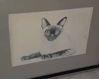 Framed Cat Artwork