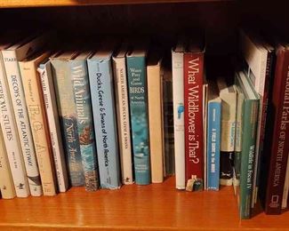 Books About Fun In The US