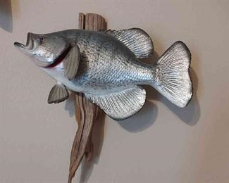 Fish Mount