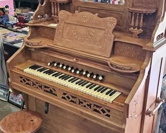 ORGAN & STOOL
