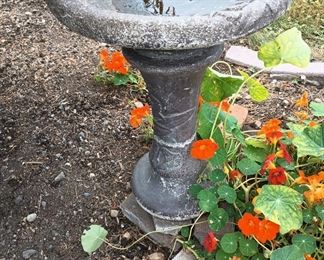 Traditional Concrete Birdbath