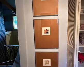 Framed and matted photographs