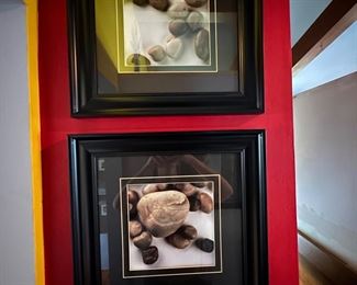 Framed nature photos