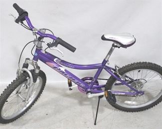 4189 - Pacific Amethyst Girl's Mountain Bike
