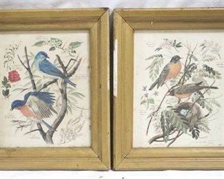 4367 - Pair of Framed Prints 12" x 14"
