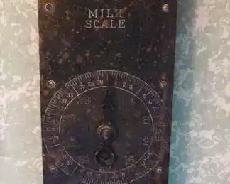Vintage Hanging Scale