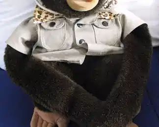 Vintage Monkey