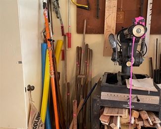Radial arm saw, lots of small wood, yard tools, and so much more