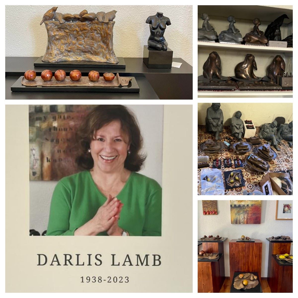 Avant Garde Darlis Lamb