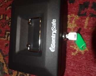 SentrySafe Mini Safe with Key