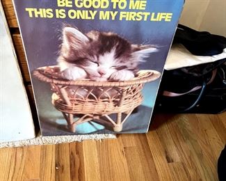 80s cat poster kitten
