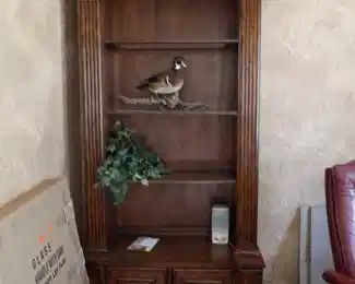 Louis Shanks bookcases