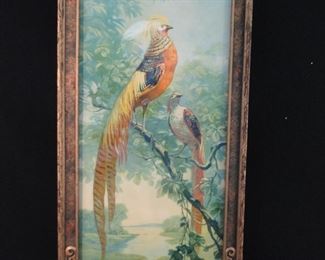Vintage 1950's Stehle Freres Golden Pheasant Framed Print in Art & Crafts Frame