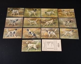 Vintage Set of 13 SHOOT DUPONT POWDERS Championship Hunting Dogs - Original Postcards