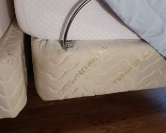 twin box springs  by  temperpedic  They  will  be  50.00  each  on  Monday.