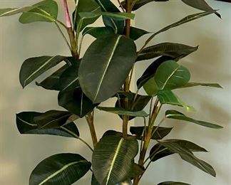 Faux Rubber Plant 