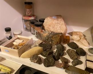 Rocks, shells, science