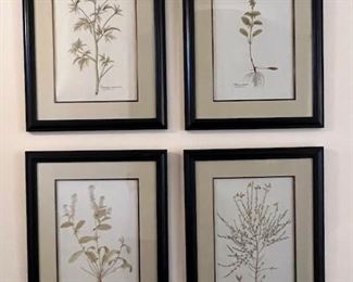 Set of Six Framed Botanicals