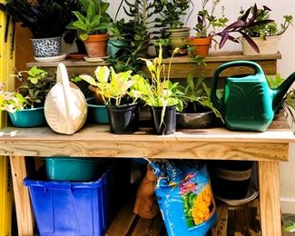 Potting bench.  Healthy live plants