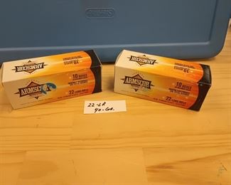 22 long rifle 40 grain