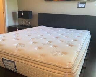 Queen Sealy Posturepedic Reserve Therapedic Mattress