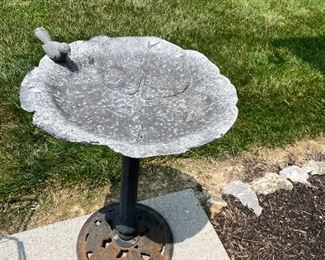 bird bath 