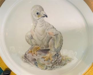Boehm fine porcelain--"Baby Eaglet"