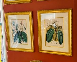 early framed floral prints