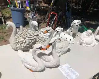 More swans!