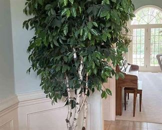 "Woodside: Burden Lake" in Aiken, SC. Closing on Tue 8/8 at 8pm. Pickup is Thu 8/10 from 1-6pm. Please click here to see more photos, descriptions, and current bids:&nbsp;https://ctbids.com/estate-sale/23360