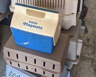 Pet carriers and playmate