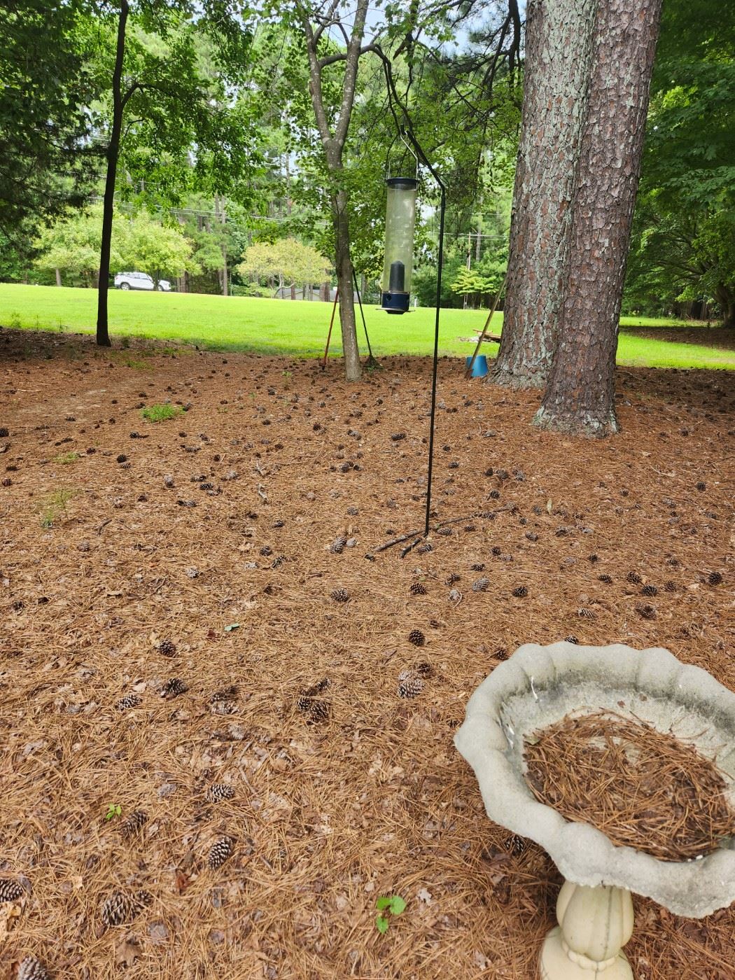 Wonderful living estate sale!! in Raleigh, NC starts on 8/11/2023