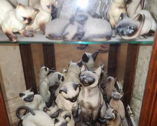 Nice Collection of Simease Cats