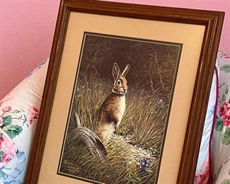 Framed RABBIT 