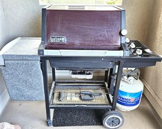 Weber Grill
