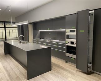 $17,500  for European kitchen "package" including cabinets, counters, Bosch appliances, Dornbracht sink, Franke faucet, hanging light (refrigerator was removed previously)