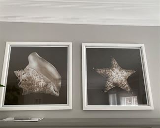  each Shell prints  24" x 24"