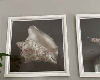  each Shell prints  24" x 24"