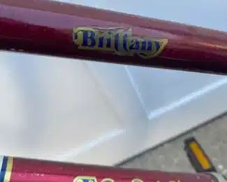  Brittany Free Spirit bicycle  *Pickup in Wilmette