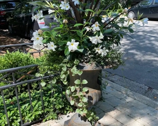  Pair cast iron planter urns - 2 pair available                                      31.5"h x 24" diameter