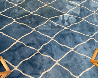 Now $525.00 Was $750.00 Ben Soleimani rug  9 x 12