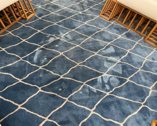 Now $525.00 Was $750.00 Ben Soleimani rug  9 x 12