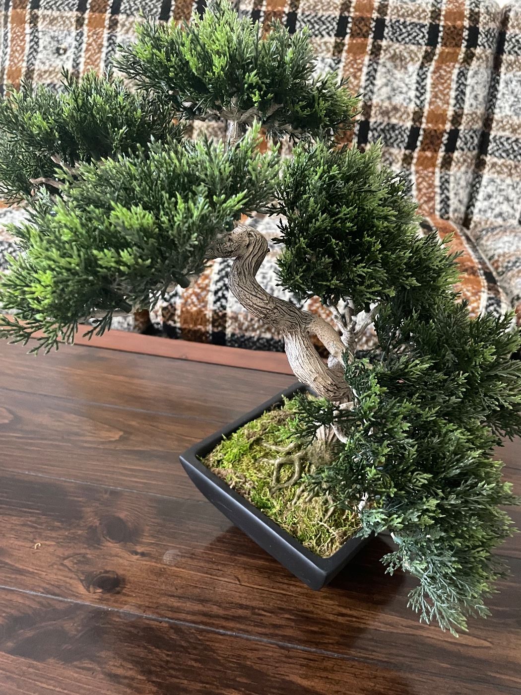 Gridley Estate Sale starts on 9/1/2023