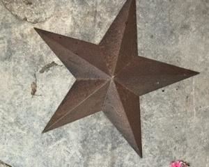 small metal star