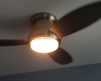 MinkaAire ceiling fan with light