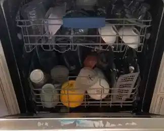 BOSCH dishwashers have stainless steel interiors; two available