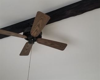 Ceiling fan